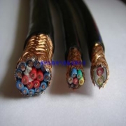 自贡电缆 自贡电缆